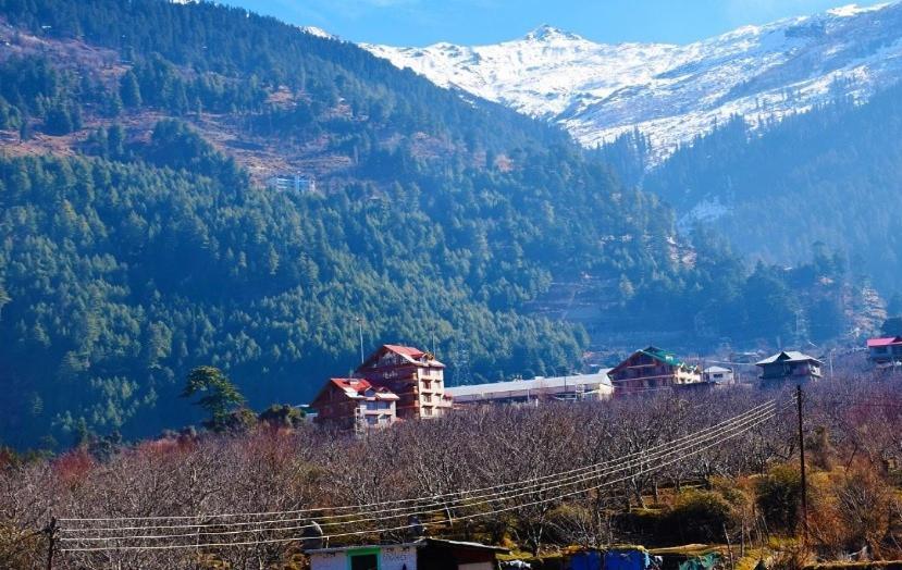 Hotel Mahavir Manali - Manali (Himachal Pradesh) — Photos 3